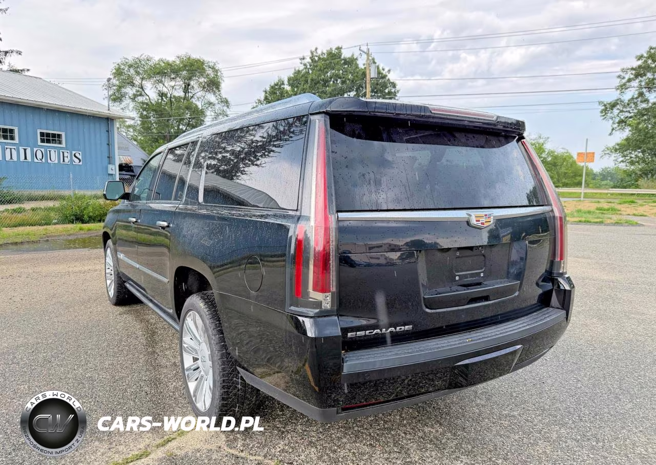2020 Cadillac Escalade Esv Platinum VIN:1GYS4KKJ2LR110640 - 3