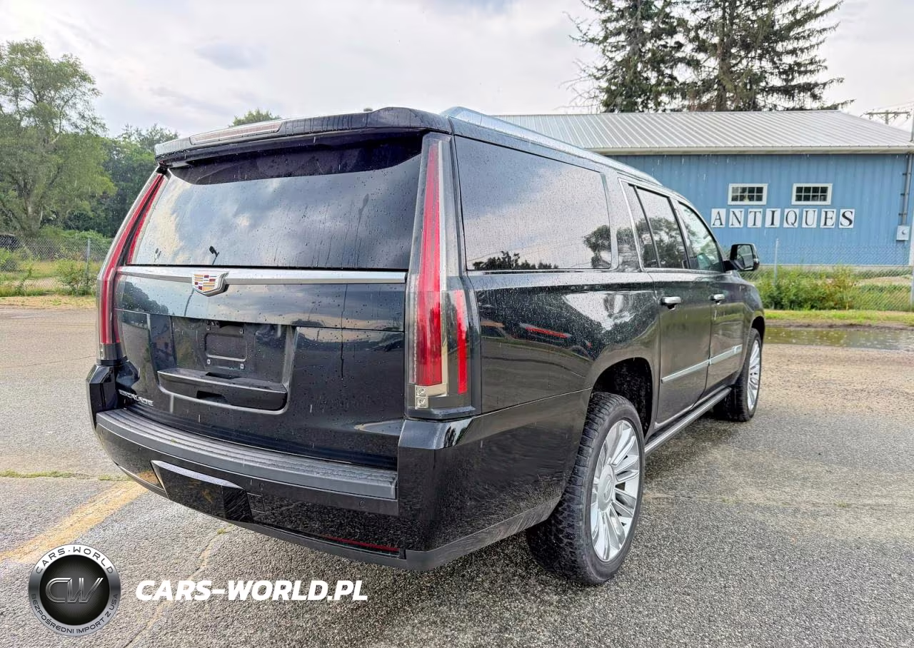 2020 Cadillac Escalade Esv Platinum VIN:1GYS4KKJ2LR110640 - 4
