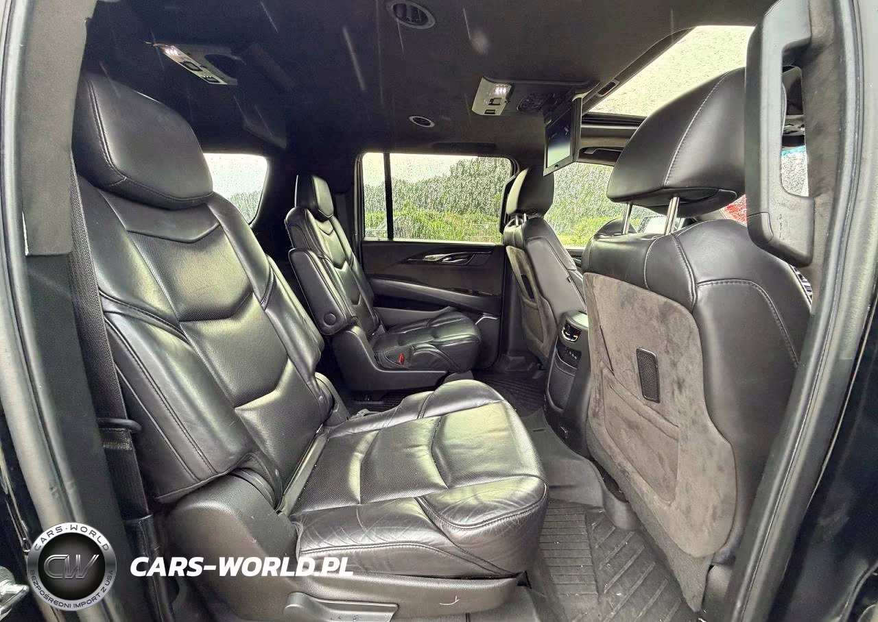 2020 Cadillac Escalade Esv Platinum VIN:1GYS4KKJ2LR110640 - 6