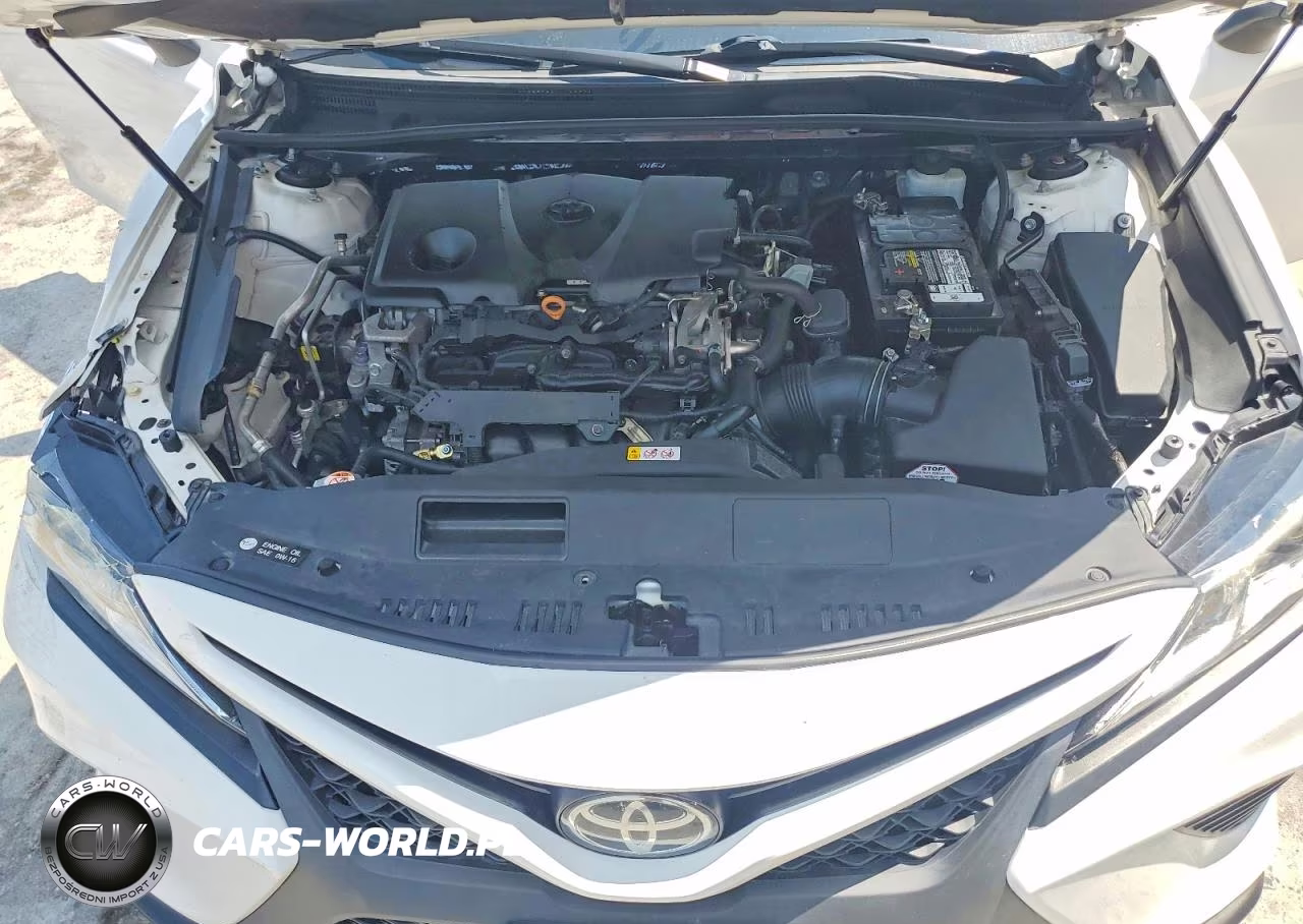 2019 Toyota Camry Se VIN:4T1B11HK7KU772424 - 11