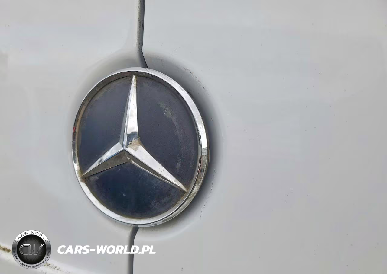 2017 Mercedes Benz Sprinter 2500 Delivery Van VIN:WD3PE7CDXHP527807 - 10