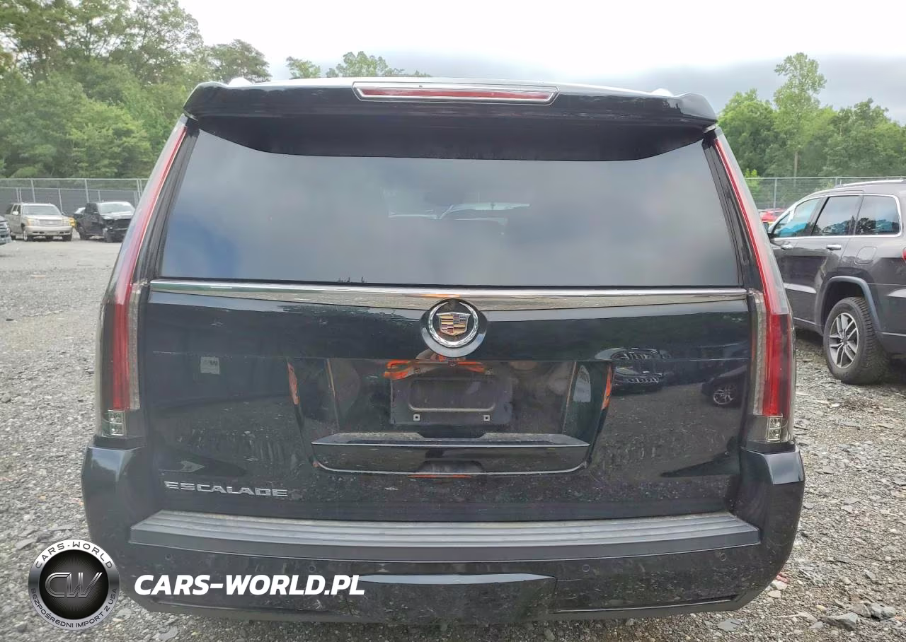 2015 Cadillac Escalade Luxury VIN:1GYS4BKJ4FR161206 - 6