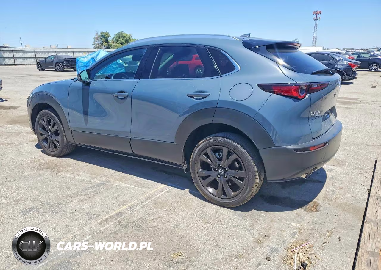 2022 Mazda Cx-30 Premium Plus VIN:3MVDMBEY0NM444630 - 2