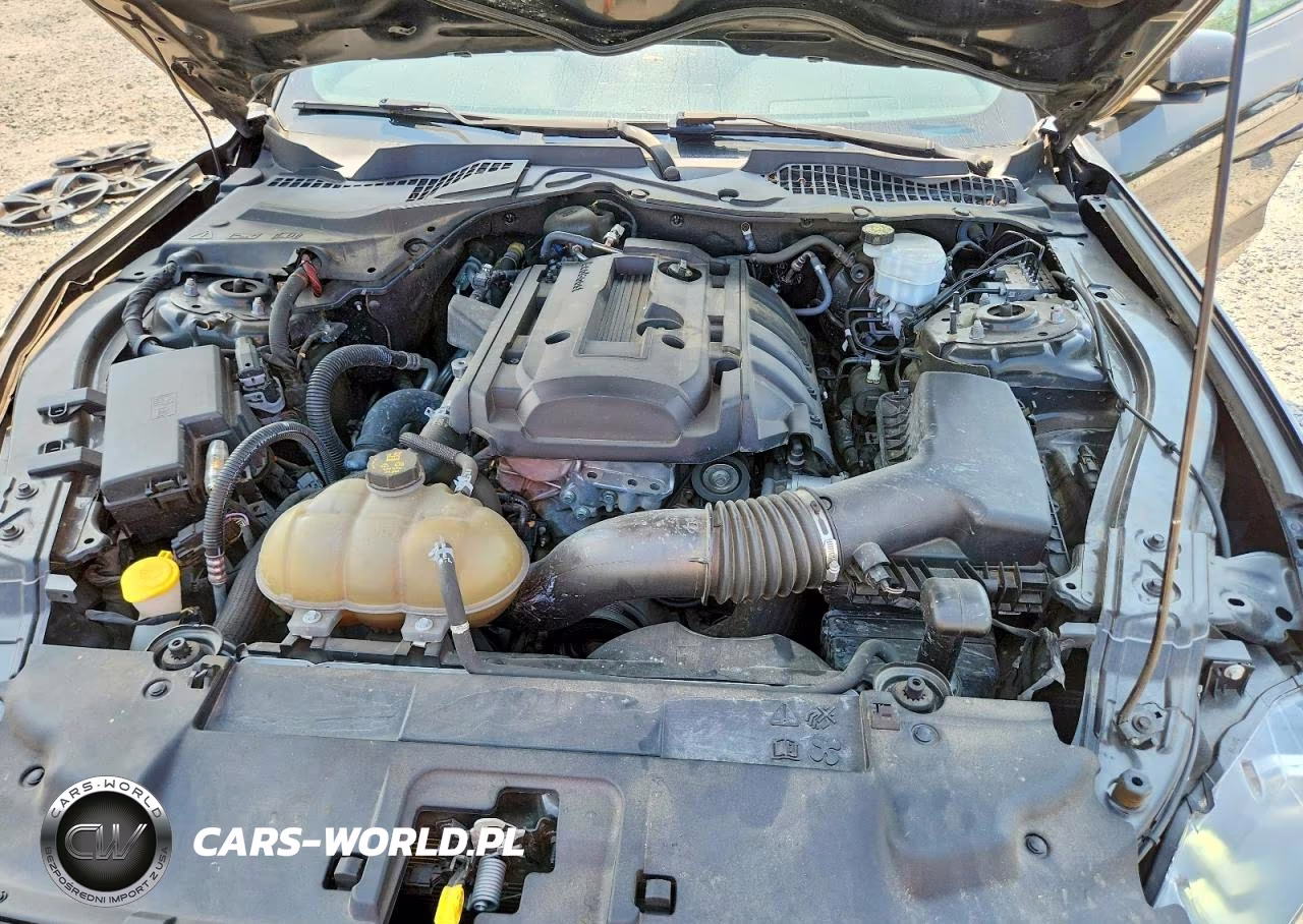 2020 Ford Mustang VIN:1FA6P8TH0L5102742 - 11