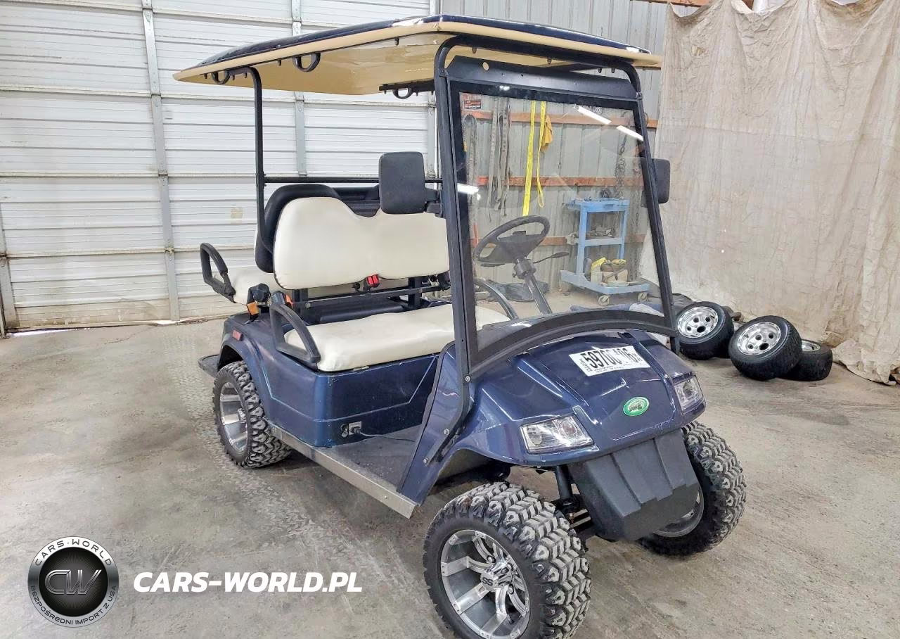 2010 Zone Golf Cart – zdjęcie 1 z 10