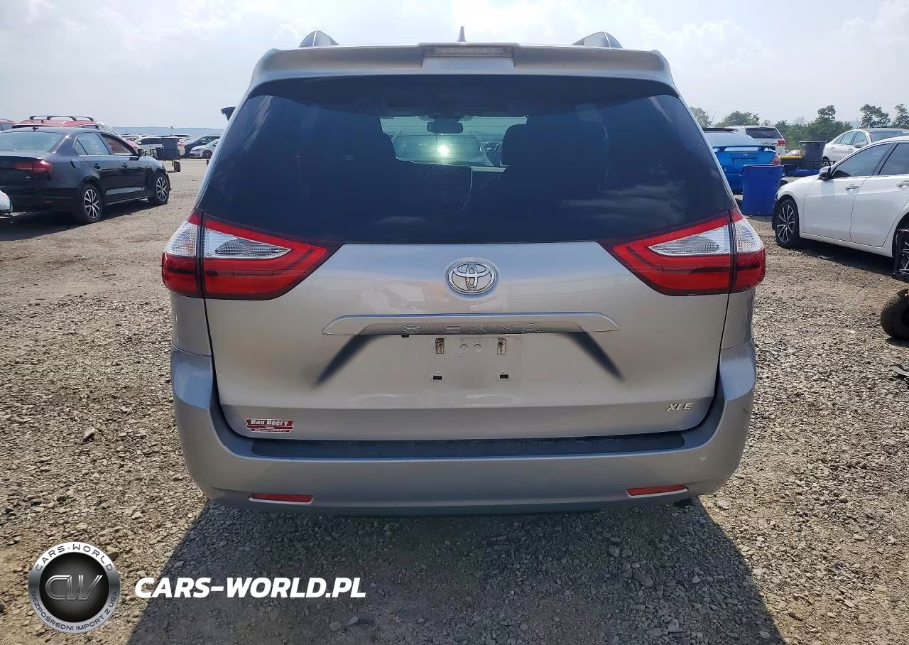 2018 Toyota Sienna Xle 8-Passenger VIN:5TDYZ3DC2JS910813 - 6