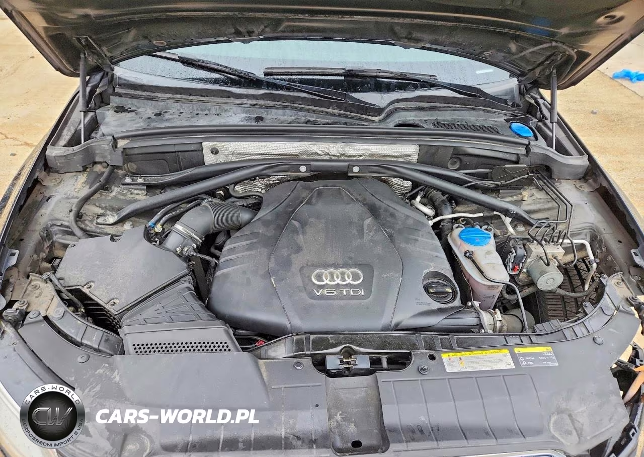 2016 Audi Q5 Tdi Premium Plus VIN:WA1CVAFP8GA020651 - 11