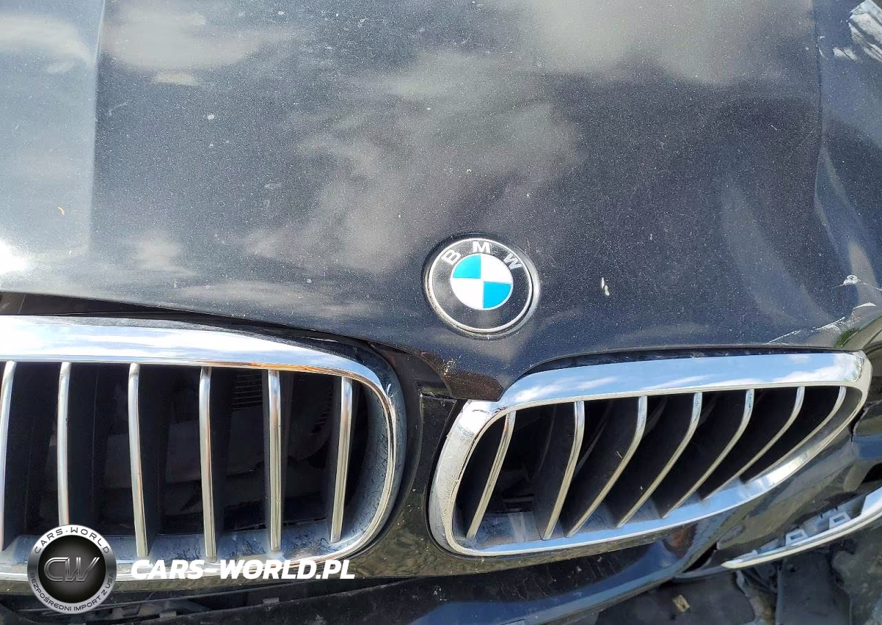 2016 BMW X5 xDrive35I VIN:5UXKR0C51G0S90988 - 12