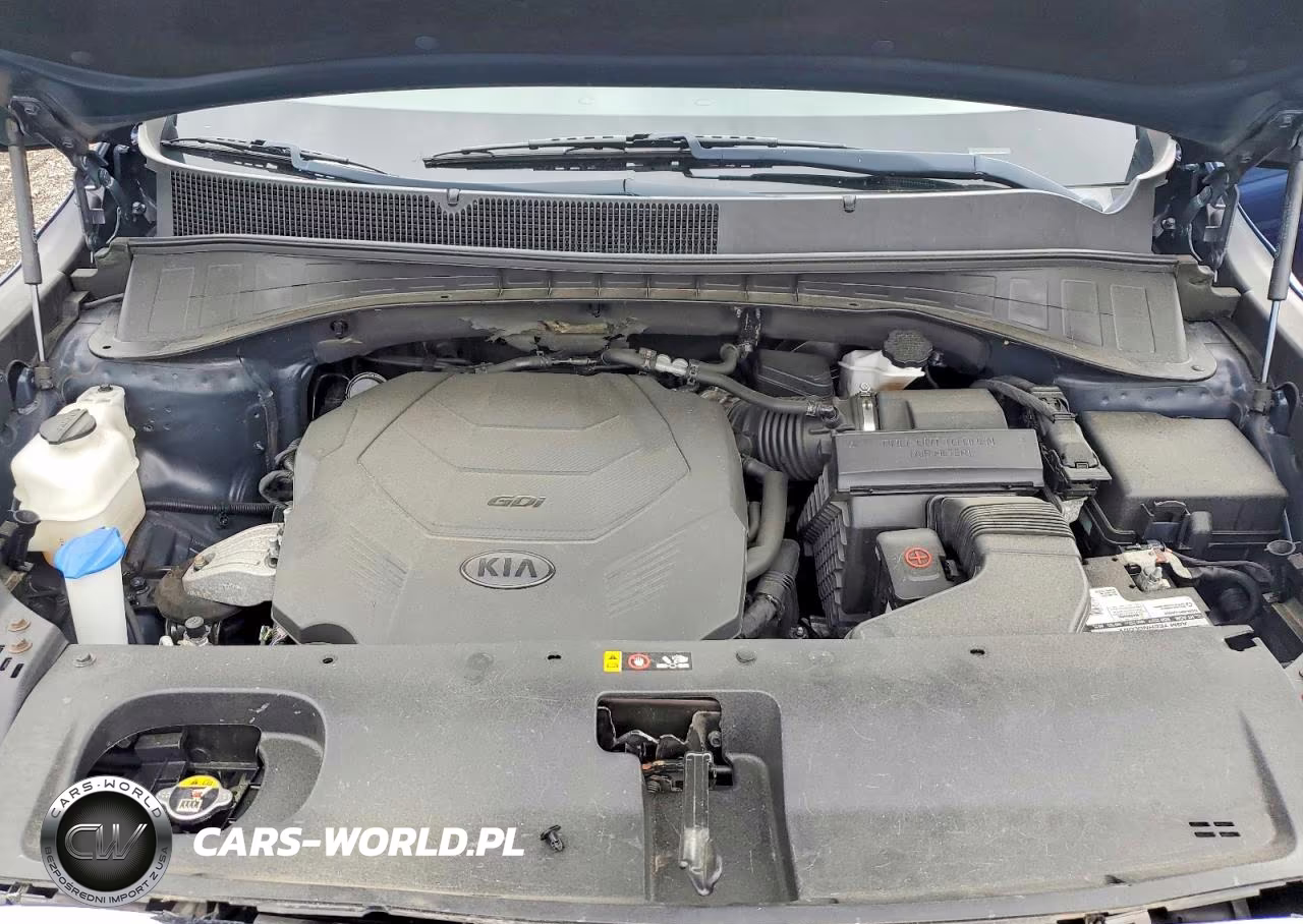 2019 Kia Sorento Ex V6 VIN:5XYPHDA52KG530685 - 12
