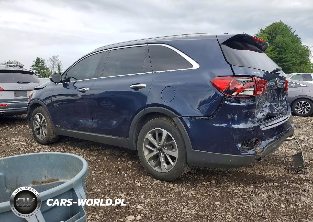 2019 Kia Sorento Ex V6 VIN:5XYPHDA52KG530685 - 2