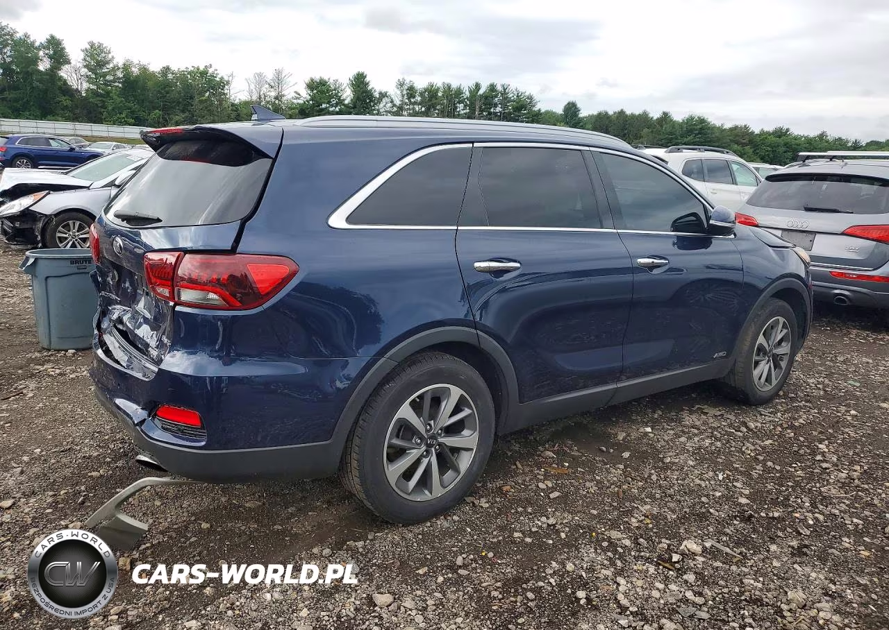 2019 Kia Sorento Ex V6 VIN:5XYPHDA52KG530685 - 3