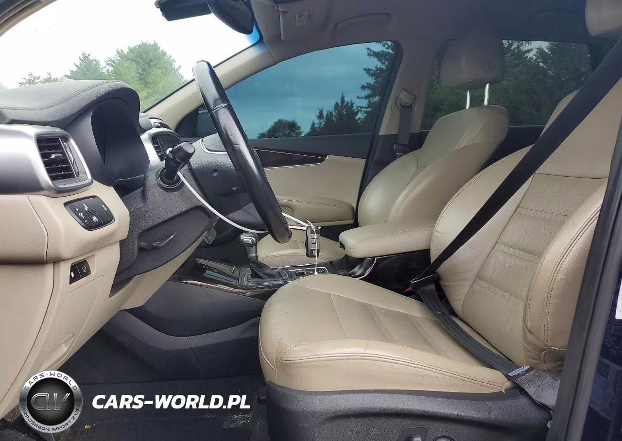 2019 Kia Sorento Ex V6 VIN:5XYPHDA52KG530685 - 7