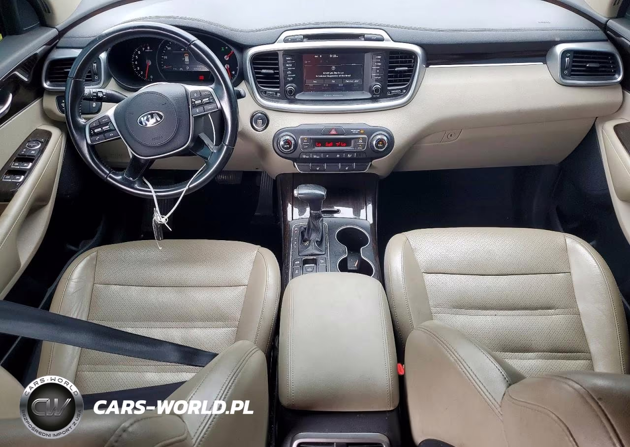 2019 Kia Sorento Ex V6 VIN:5XYPHDA52KG530685 - 8