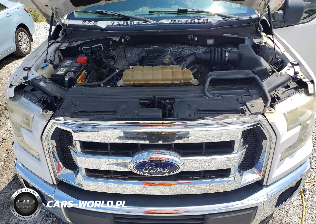 2016 Ford F150 Supercrew VIN:1FTEW1CF4GFA87855 - 11