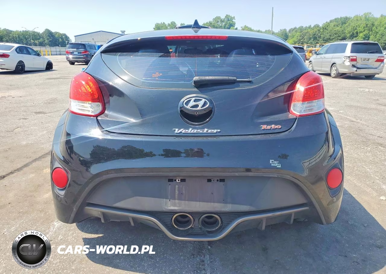 2014 Hyundai Veloster Turbo VIN:KMHTC6AEXEU191004 - 6