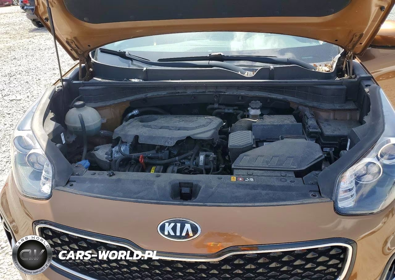 2017 Kia Sportage Lx VIN:KNDPMCAC6H7248589 - 12