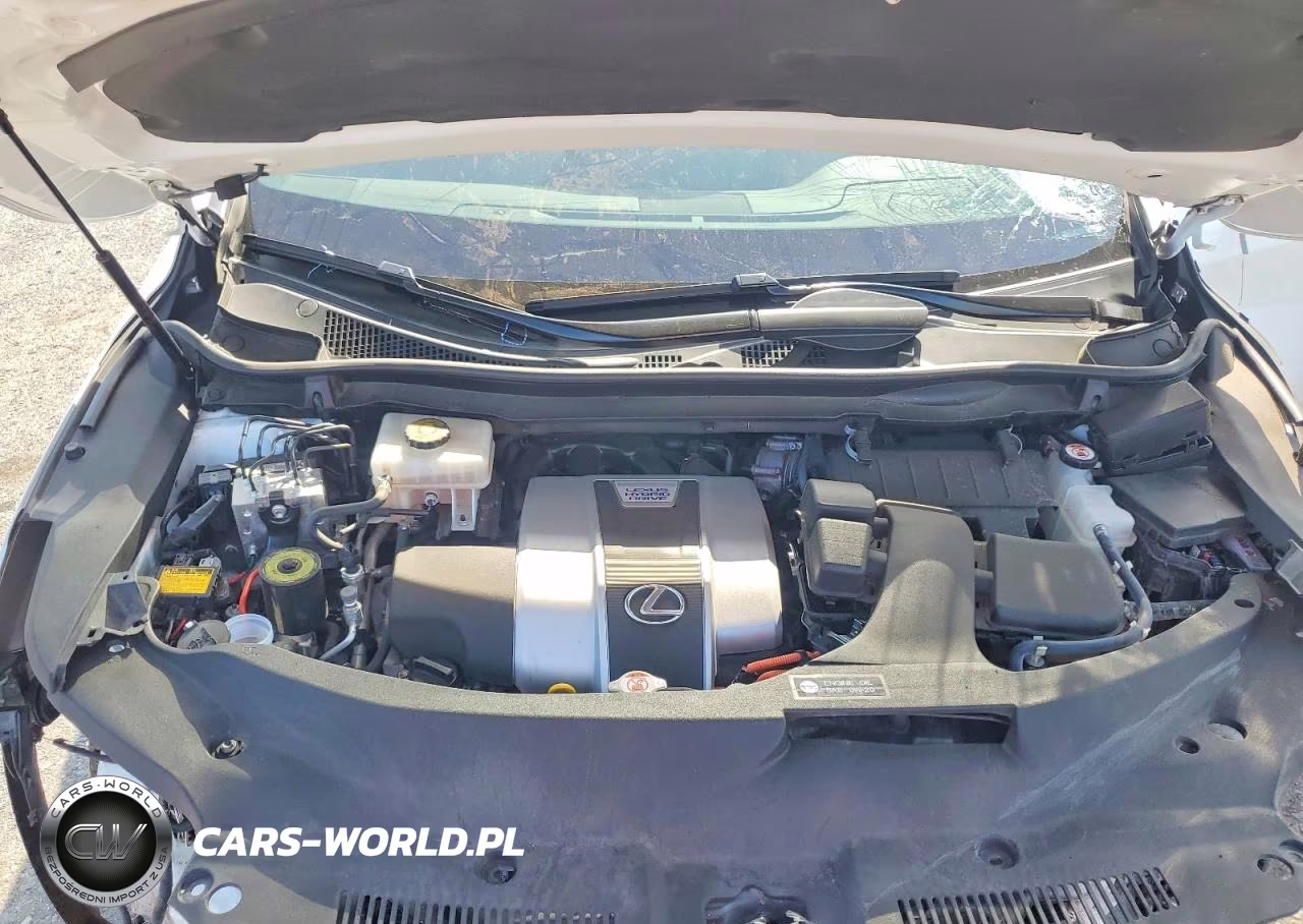 2019 Lexus Rx 450H F Sport VIN:2T2BGMCAXKC041014 - 12