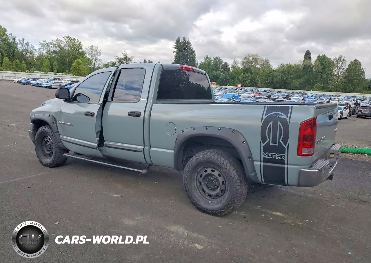 2002 Dodge Ram 1500 VIN:3D7HU18N42G198065 - 2