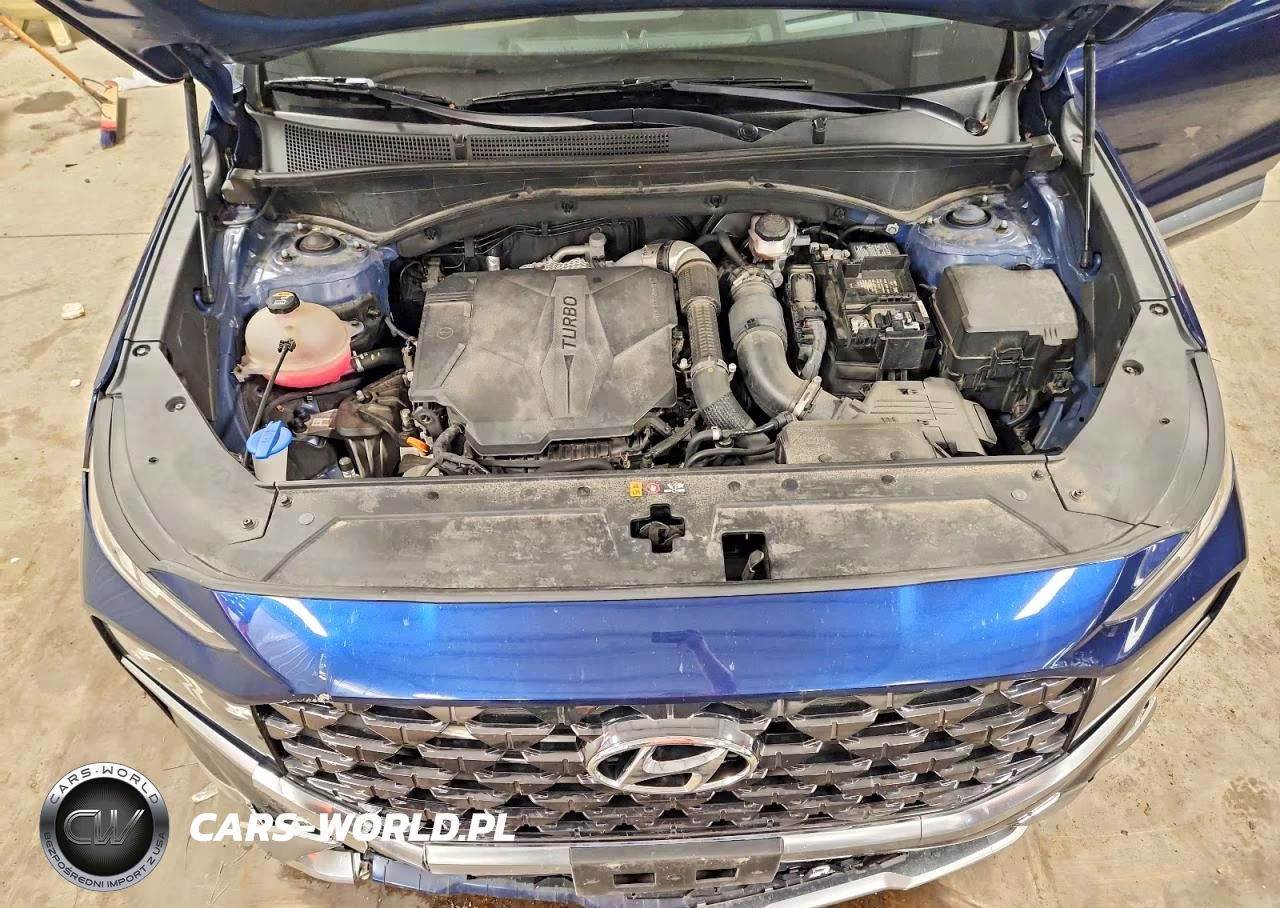 2023 Hyundai Santa Fe Calligraphy VIN:5NMS5DAL2PH522598 - 12