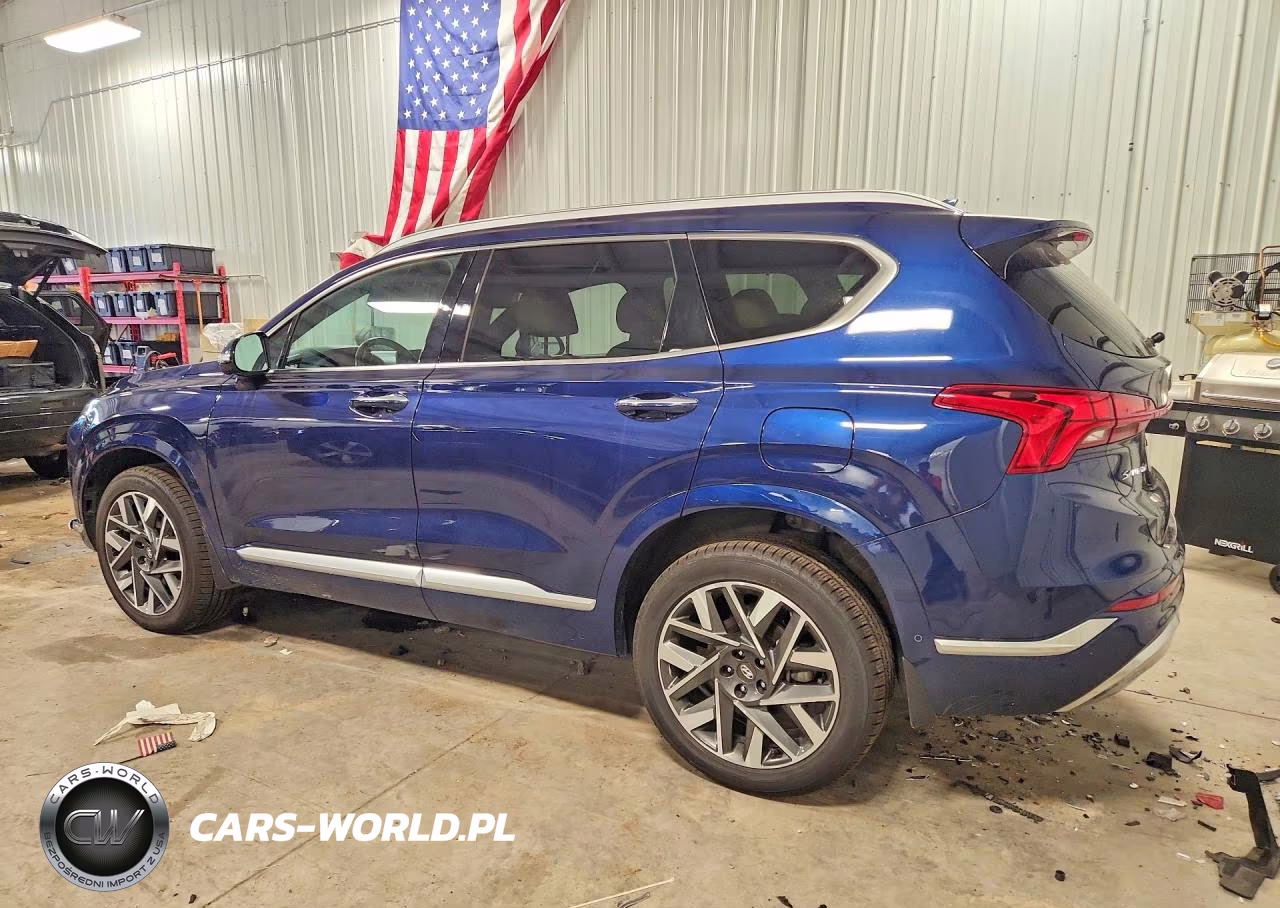 2023 Hyundai Santa Fe Calligraphy VIN:5NMS5DAL2PH522598 - 2