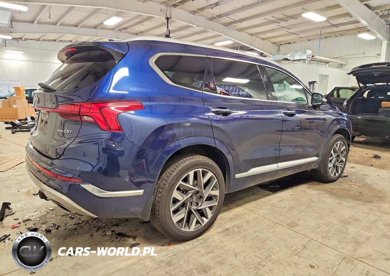 2023 Hyundai Santa Fe Calligraphy VIN:5NMS5DAL2PH522598 - 3