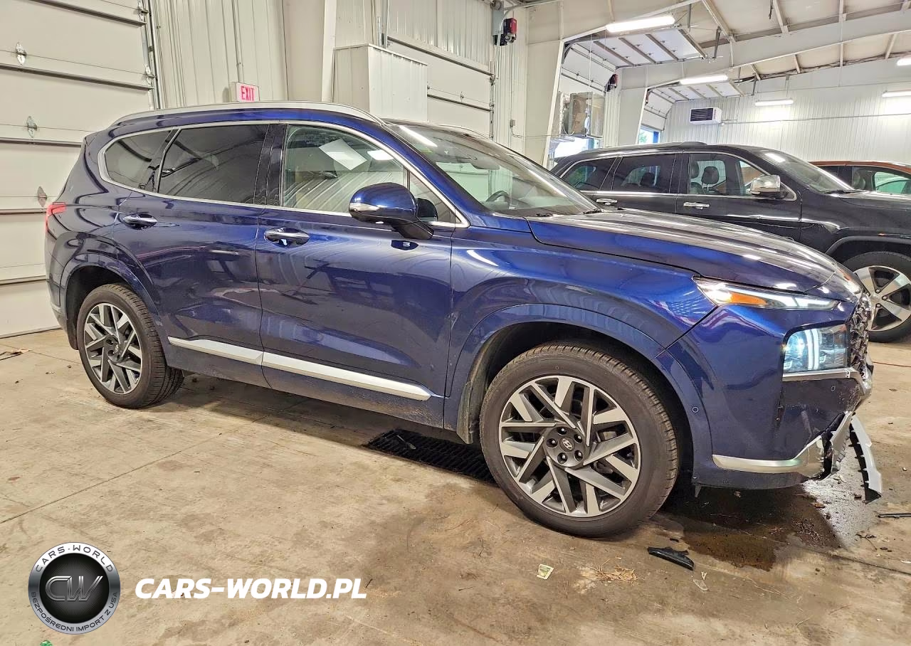 2023 Hyundai Santa Fe Calligraphy VIN:5NMS5DAL2PH522598 - 4