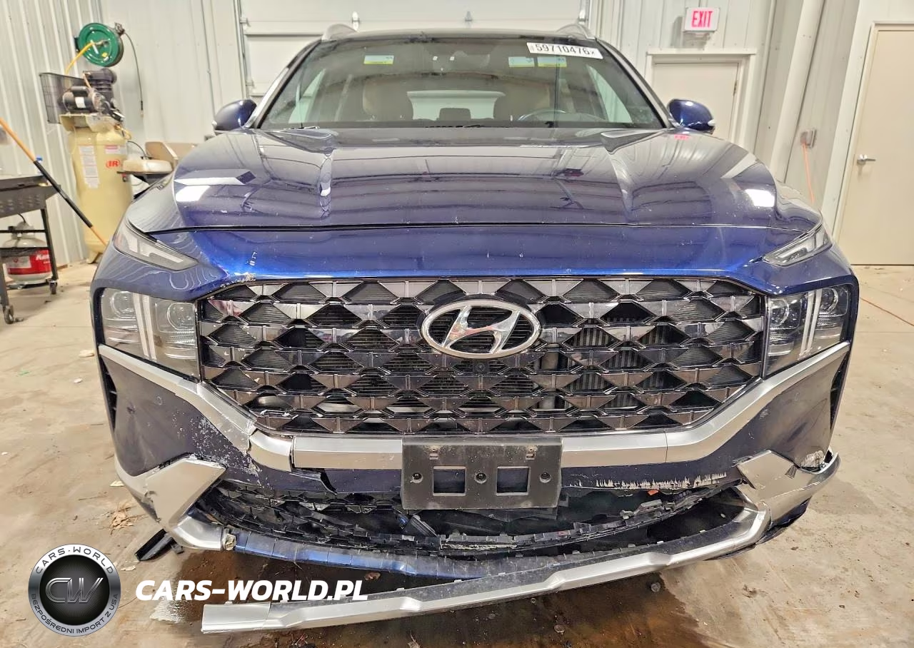 2023 Hyundai Santa Fe Calligraphy VIN:5NMS5DAL2PH522598 - 5