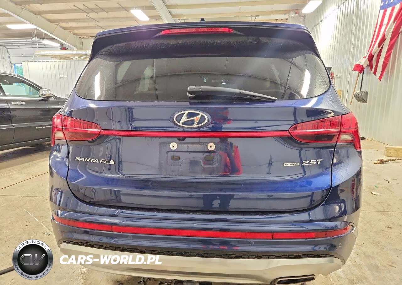 2023 Hyundai Santa Fe Calligraphy VIN:5NMS5DAL2PH522598 - 6