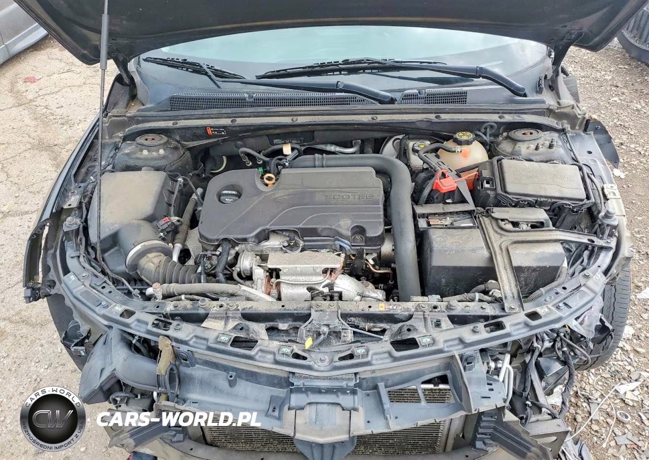 2019 Chevrolet Malibu Lt VIN:1G1ZD5ST8KF116667 - 11