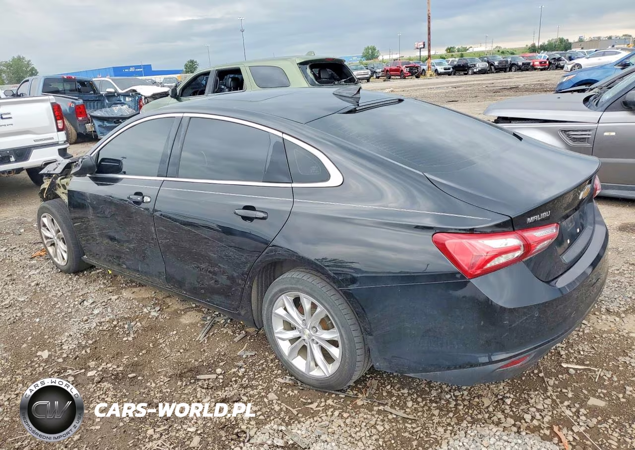 2019 Chevrolet Malibu Lt VIN:1G1ZD5ST8KF116667 - 2