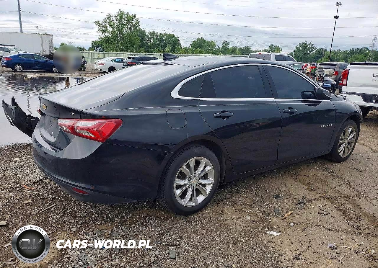 2019 Chevrolet Malibu Lt VIN:1G1ZD5ST8KF116667 - 3