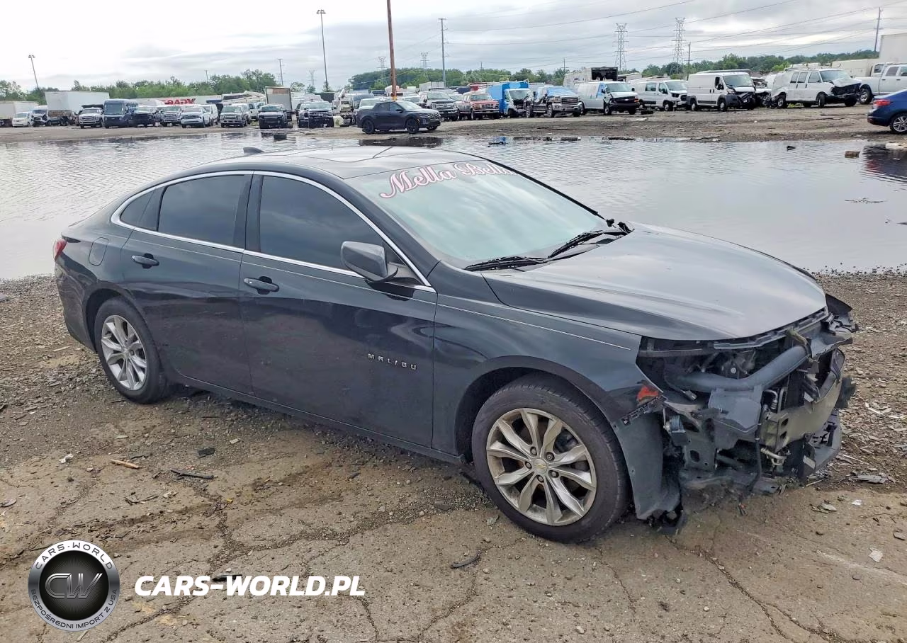 2019 Chevrolet Malibu Lt VIN:1G1ZD5ST8KF116667 - 4
