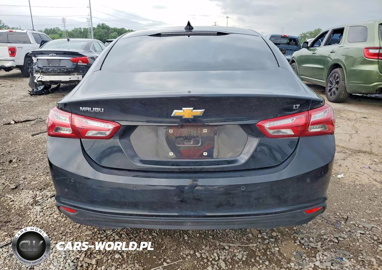 2019 Chevrolet Malibu Lt VIN:1G1ZD5ST8KF116667 - 6