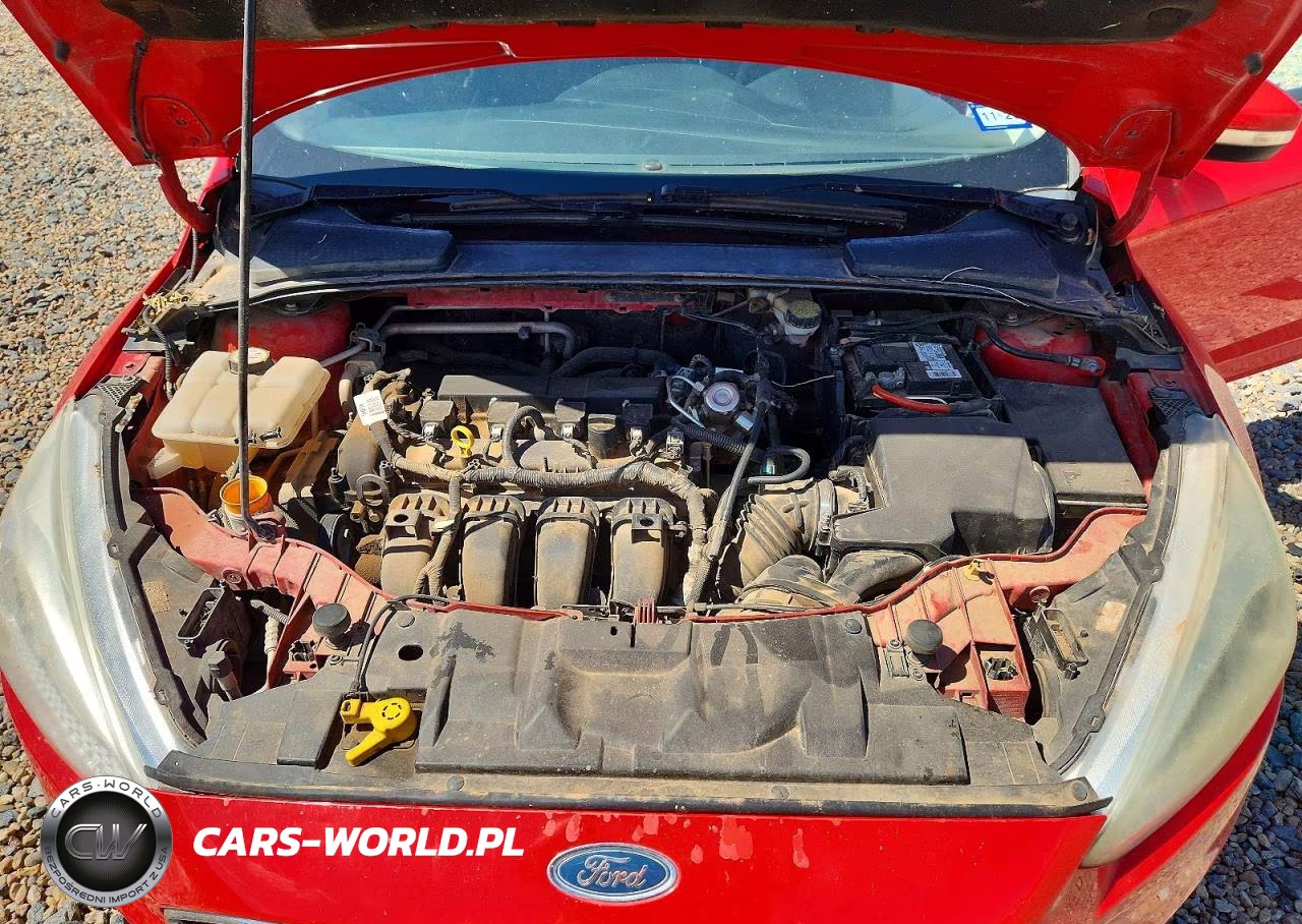 2016 Ford Focus Se VIN:1FADP3K29GL264054 - 11