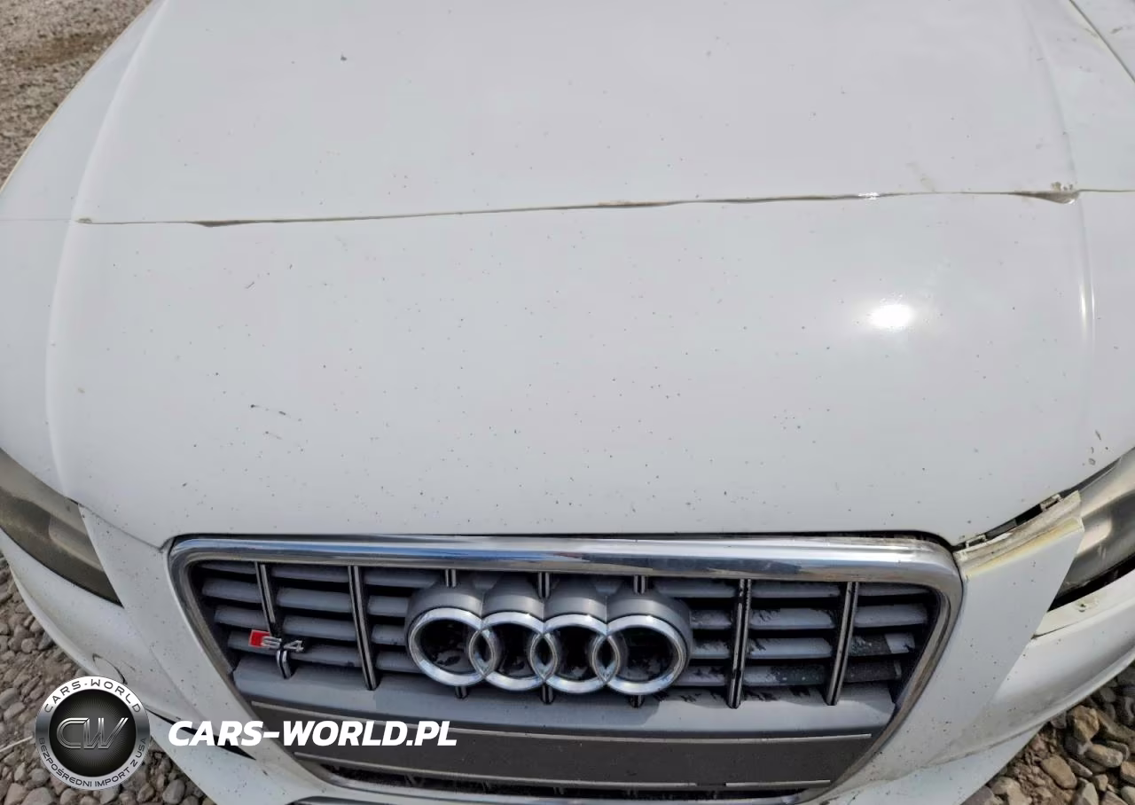 2010 Audi S4 Premium Plus VIN:WAUBGAFL9AA183791 - 11