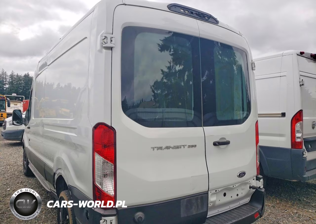 2019 Ford Transit 250 Delivery Van VIN:1FTYR2CM6KKB08004 - 2
