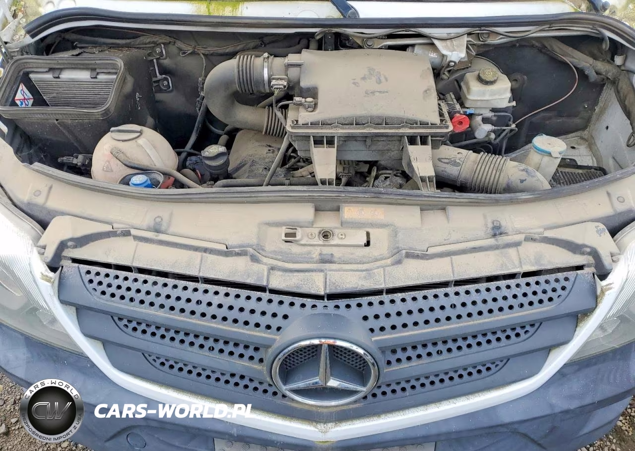2017 Mercedes Benz Sprinter 2500 Delivery Van VIN:WD3PE7CD4HP529231 - 12