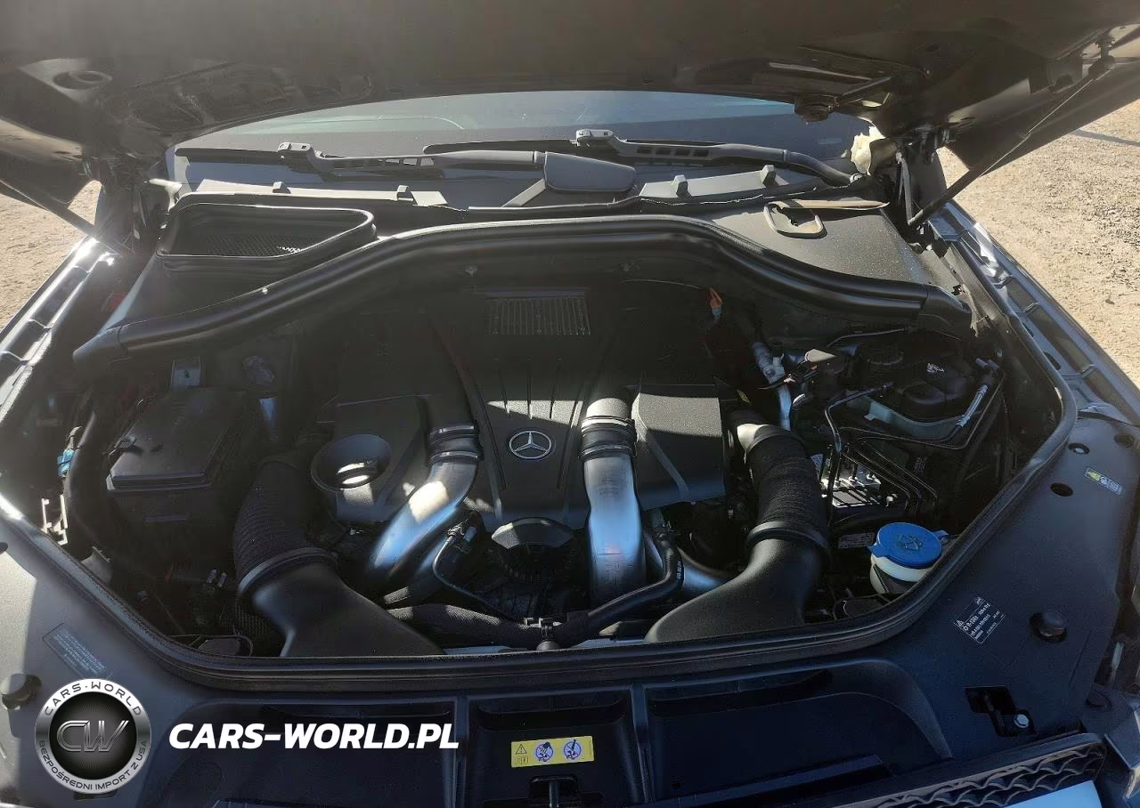 2013 Mercedes-Benz Gl 450 4Matic VIN:4JGDF7CE5DA194651 - 12