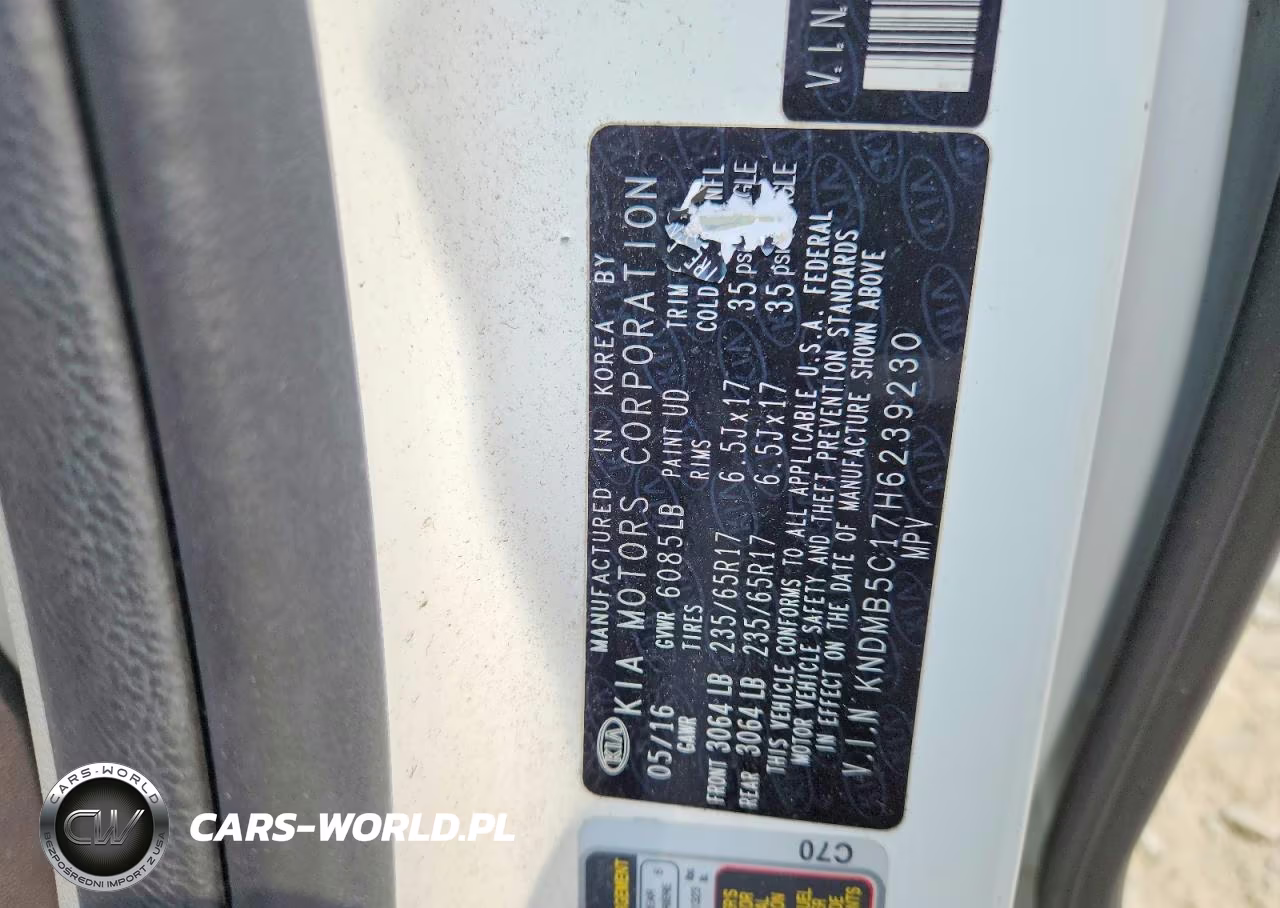 2017 Kia Sedona Lx VIN:KNDMB5C17H6239230 - 13
