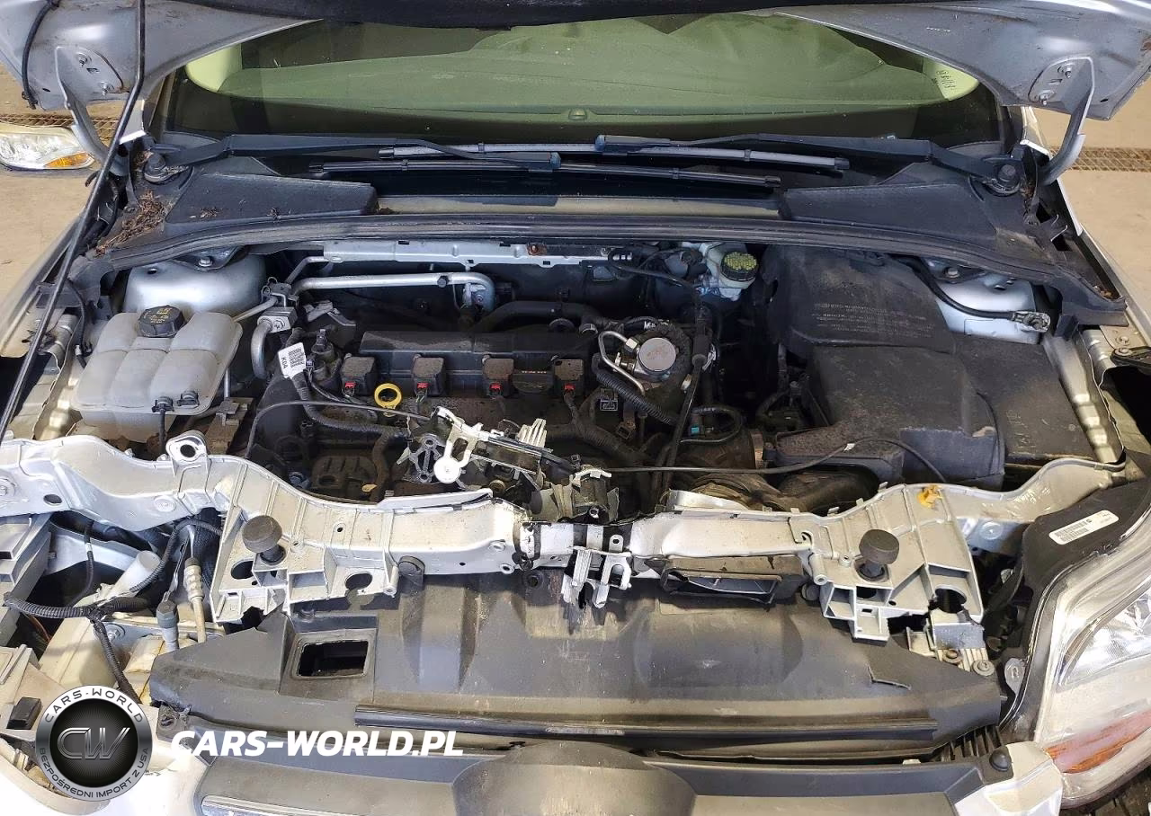 2014 Ford Focus Se VIN:1FADP3F23EL379613 - 11
