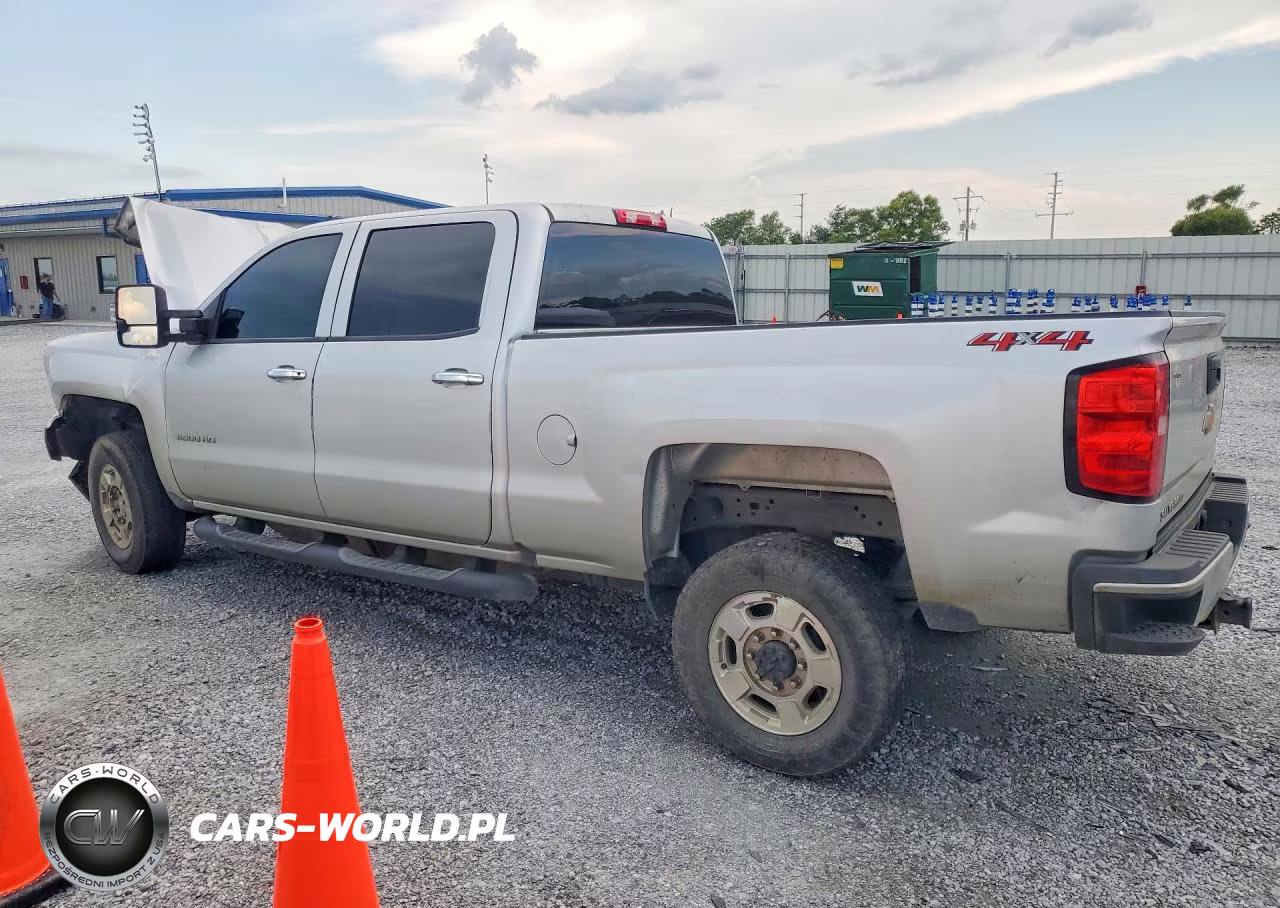 2019 Chevrolet Silverado K2500 Heavy Duty VIN:1GC1KREG5KF268454 - 2