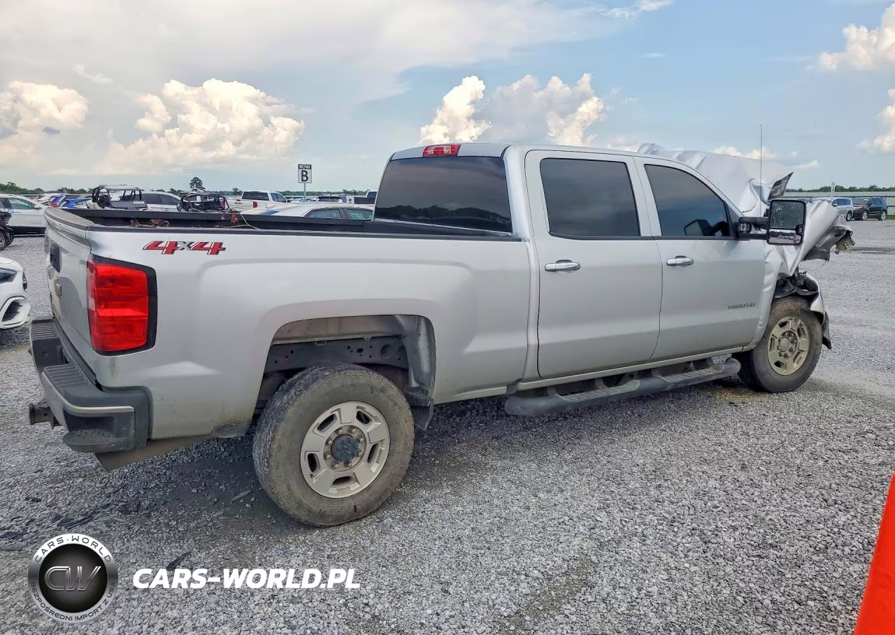 2019 Chevrolet Silverado K2500 Heavy Duty VIN:1GC1KREG5KF268454 - 3