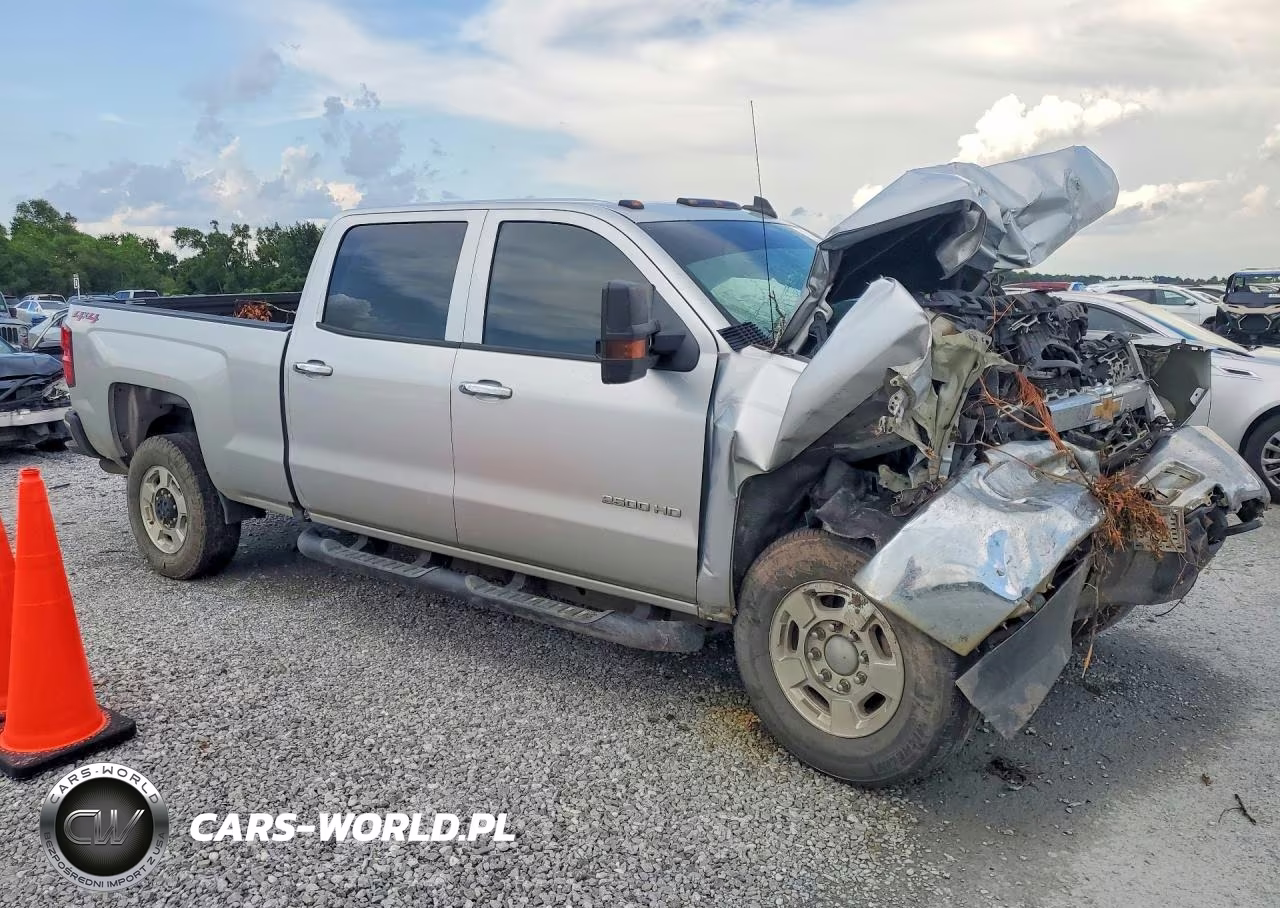 2019 Chevrolet Silverado K2500 Heavy Duty VIN:1GC1KREG5KF268454 - 4