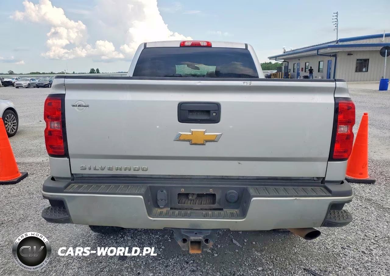 2019 Chevrolet Silverado K2500 Heavy Duty VIN:1GC1KREG5KF268454 - 6