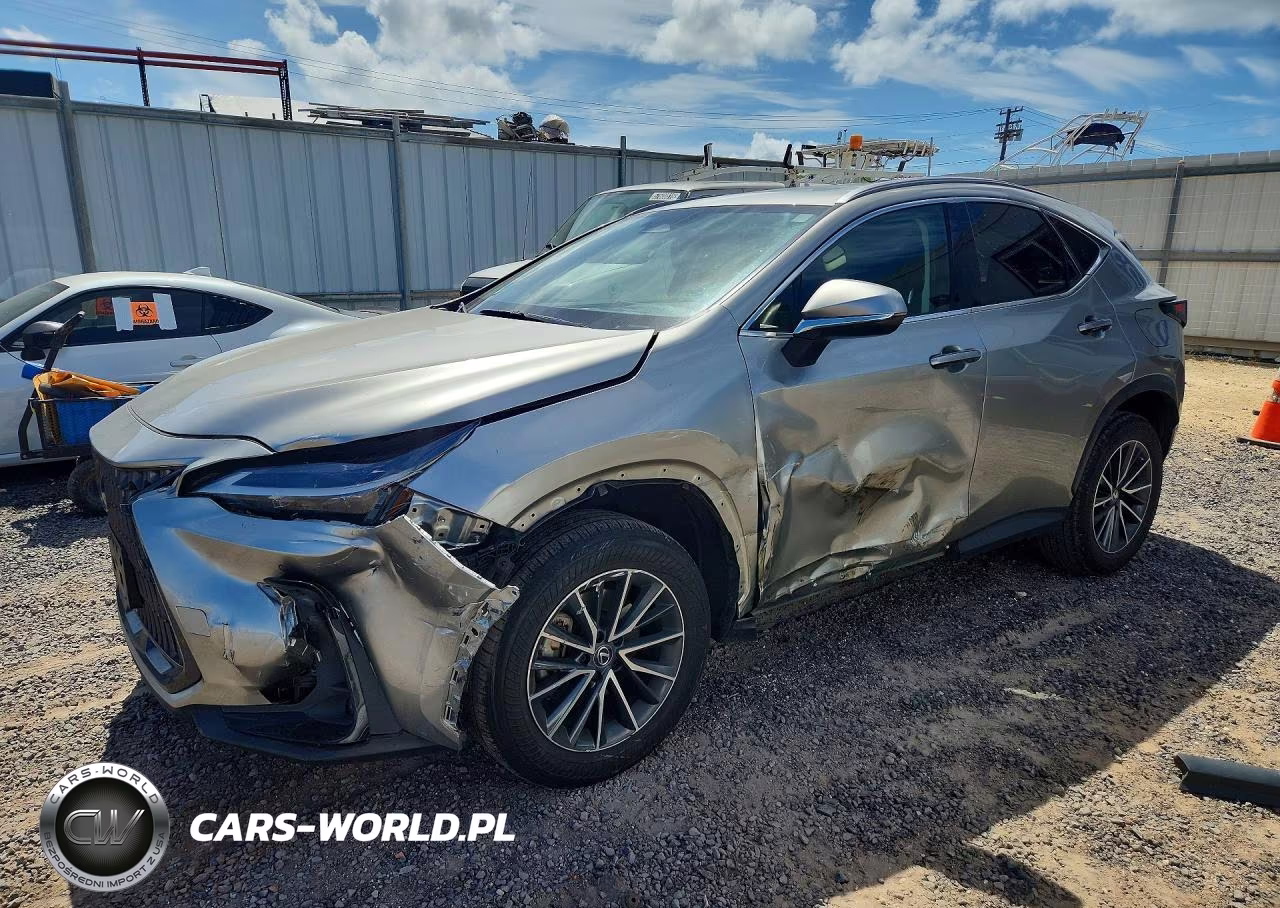 2023 Lexus Nx 250 VIN:JTJGDCAZ1P5011360 - 1