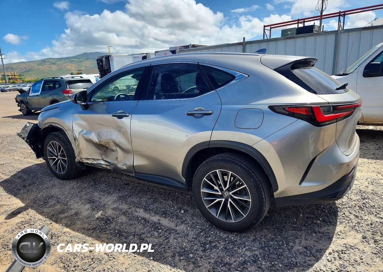 2023 Lexus Nx 250 VIN:JTJGDCAZ1P5011360 - 2
