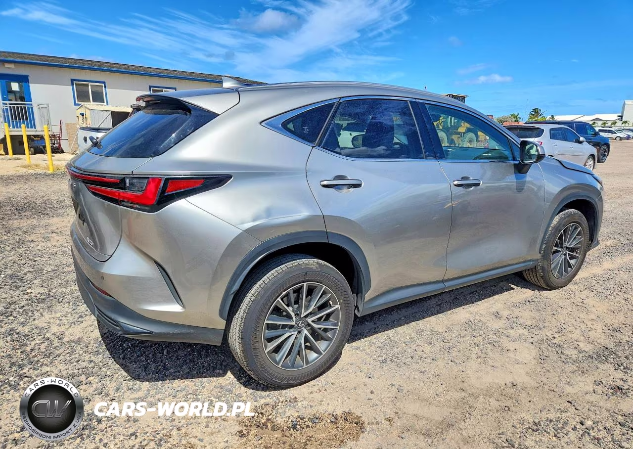 2023 Lexus Nx 250 VIN:JTJGDCAZ1P5011360 - 3
