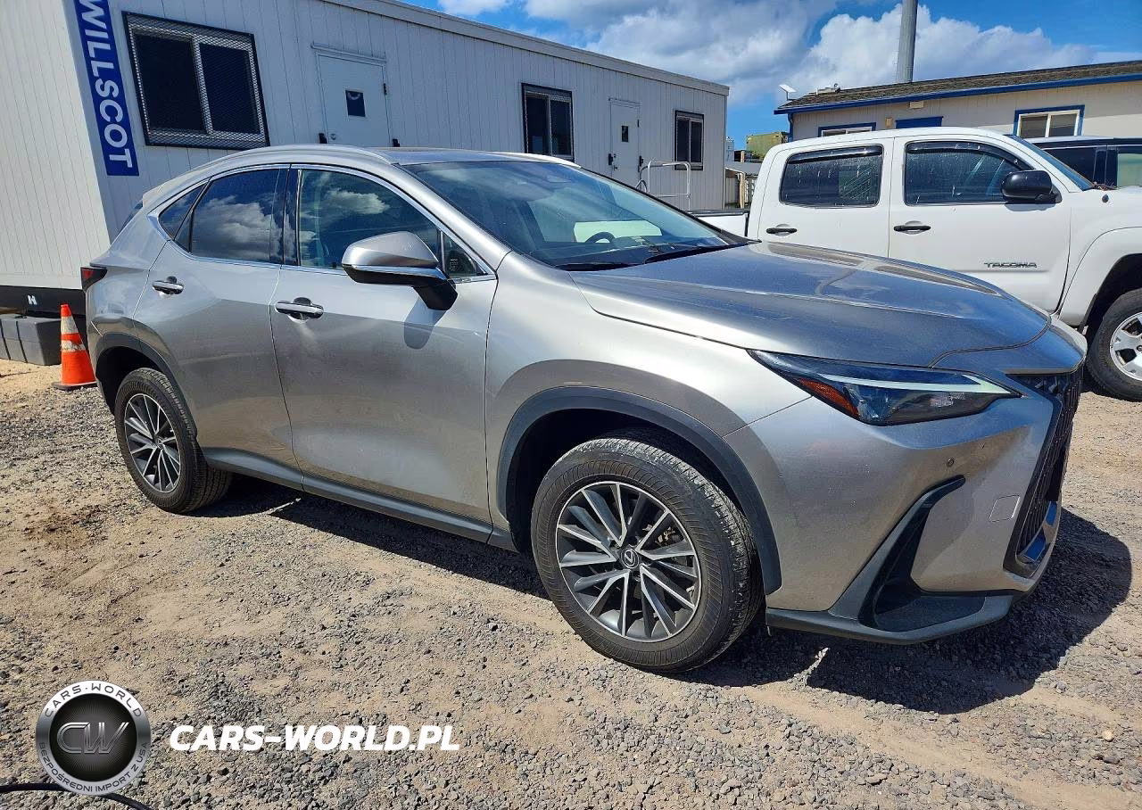 2023 Lexus Nx 250 VIN:JTJGDCAZ1P5011360 - 4