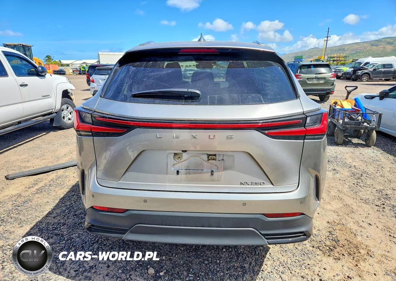 2023 Lexus Nx 250 VIN:JTJGDCAZ1P5011360 - 6