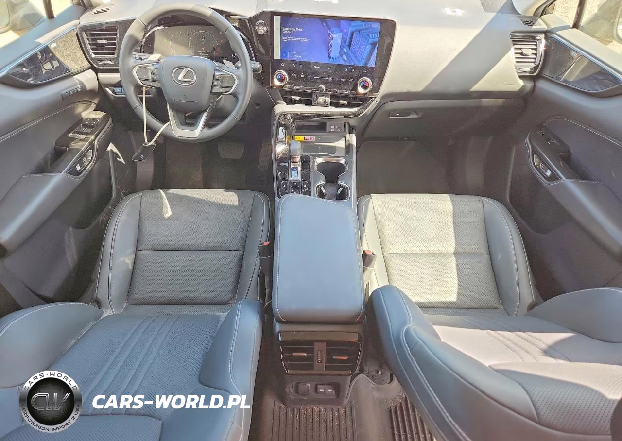 2023 Lexus Nx 250 VIN:JTJGDCAZ1P5011360 - 8